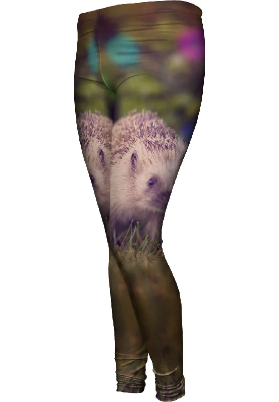Cool Breeze At Night Baby Porcupine