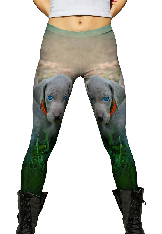 Fashion Comfort Blue Eye Puppy