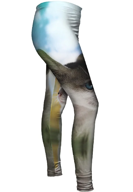 Integrated Design Dream Kitten