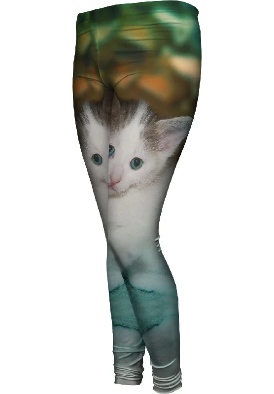 Summer Selection Relaxing Kitten