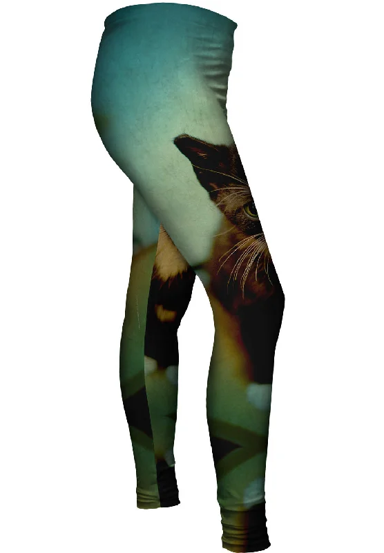 Chic Comfort Salem Kitten