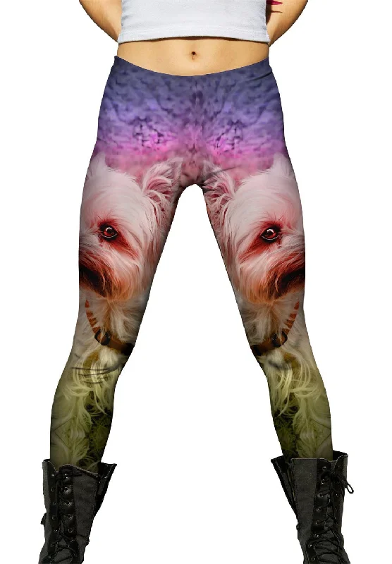 Lounge Wear Yorkshire Terrier Puppy